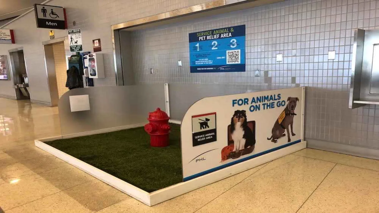 Miami Airport Pet Relief Area